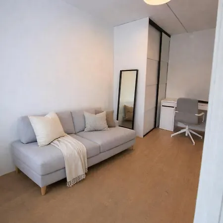 Spacious 3-room Centrally Located In אוסלו