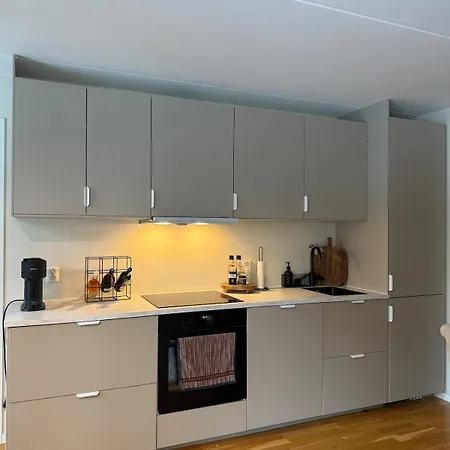 Spacious 3-room Centrally Located In אוסלו