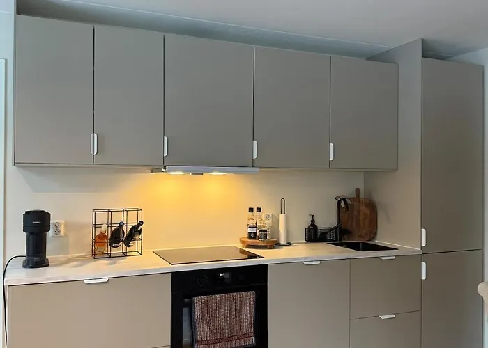 Spacious 3-room Centrally Located In אוסלו